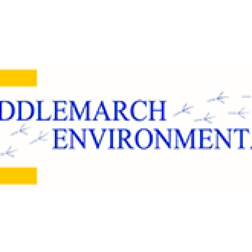 middlemarch-pf-500×500